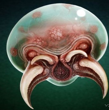 胆小勿点 仅参考