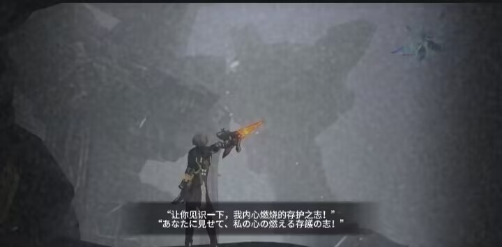 存护之志