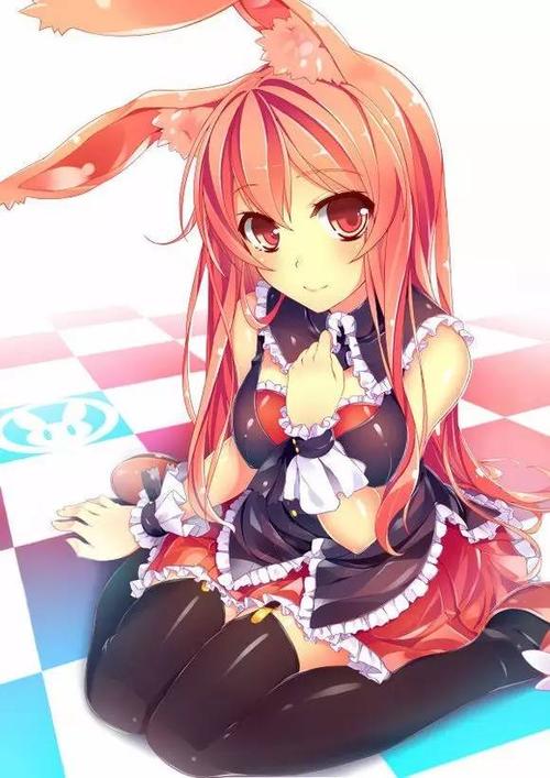 镇楼