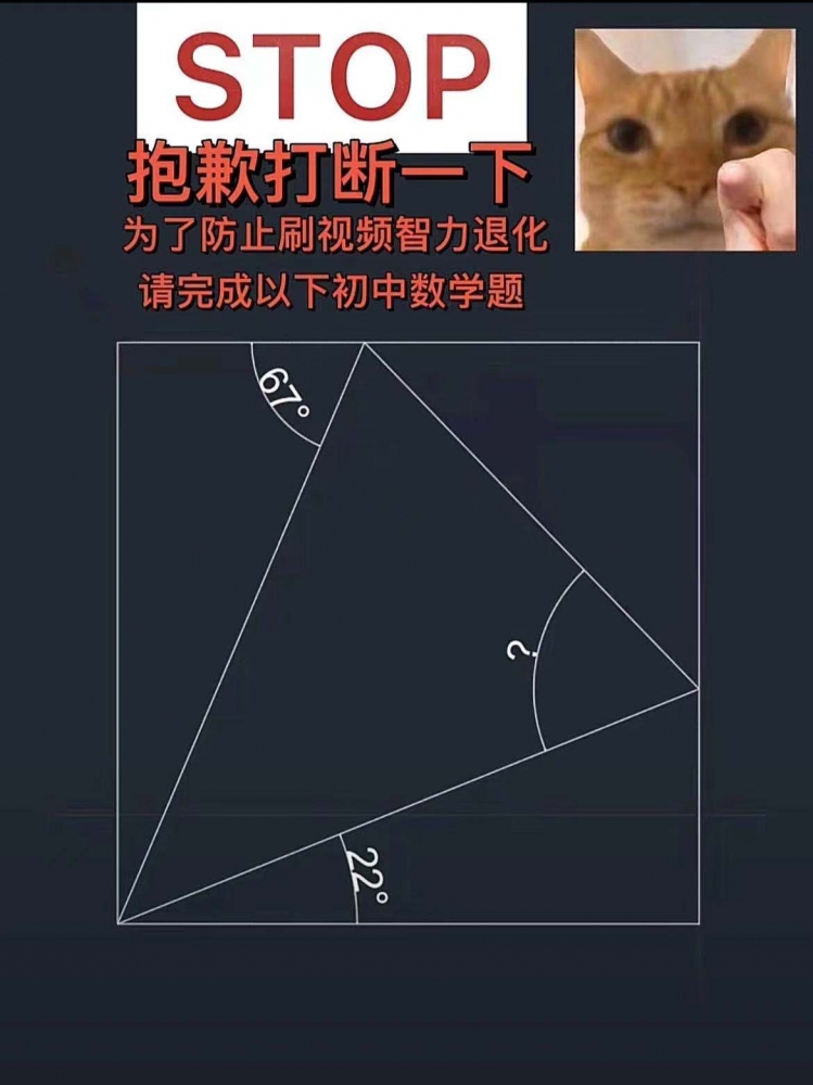 初中数学题