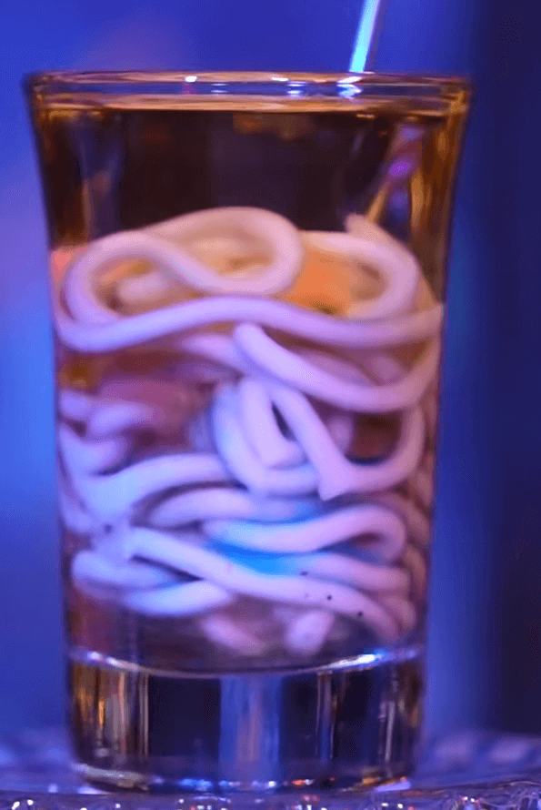 parasite