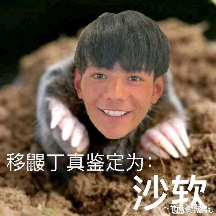 图