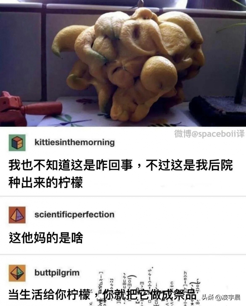 什么鬼？