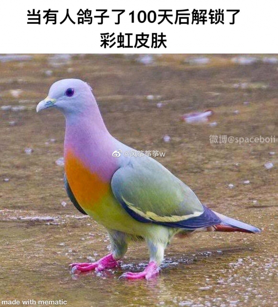 我也想要（笑）