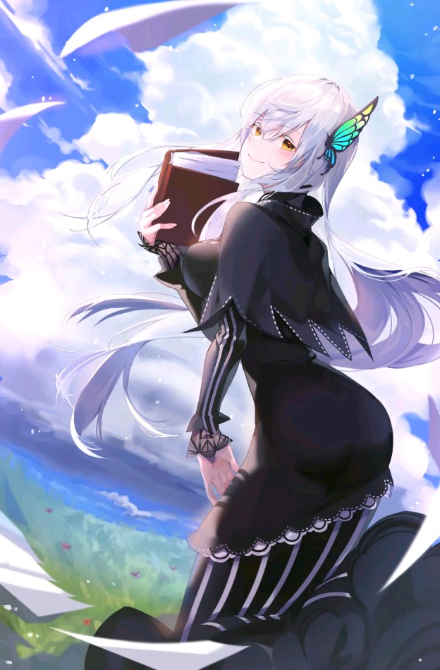 艾姬多娜