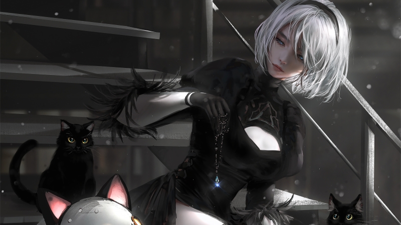 2B