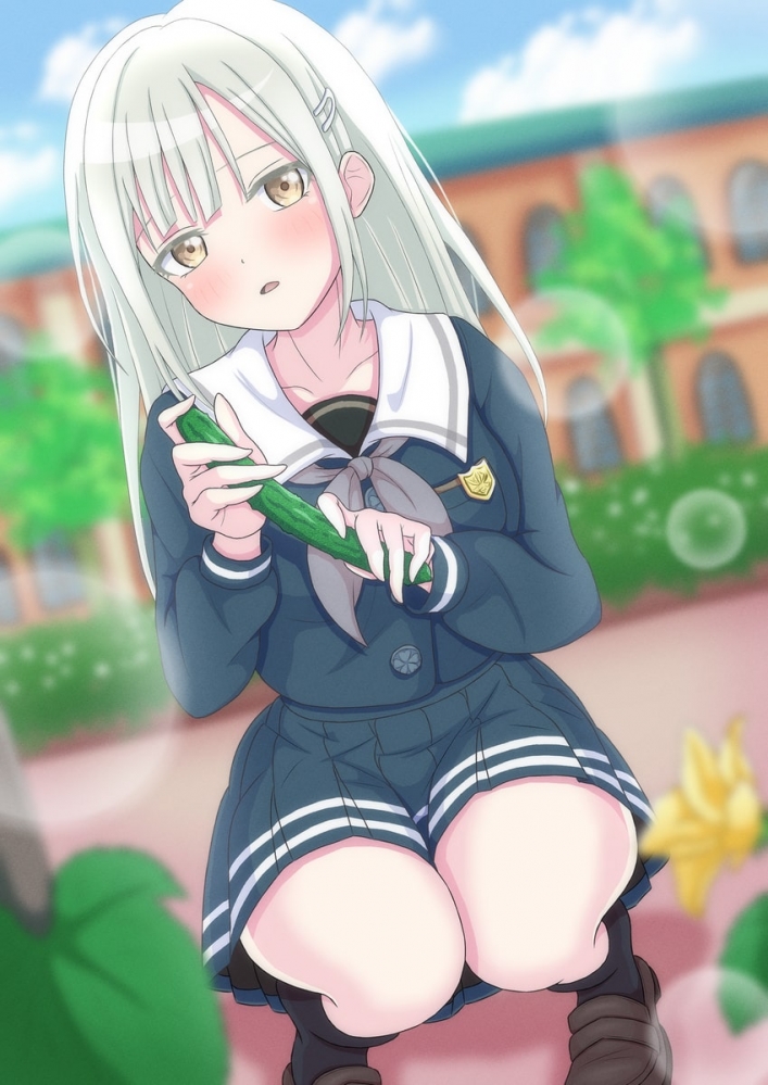 黄瓜花（右下角）