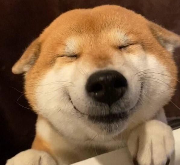 素世眼中的朝日