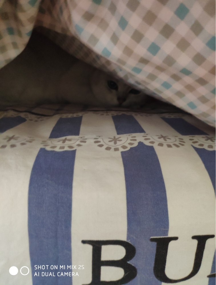 掀起你的被子来