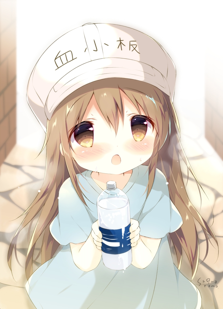 除夕快乐