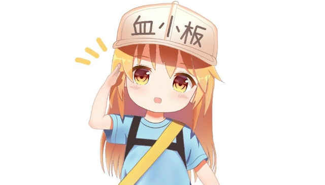 大家都有，就不抢了吧