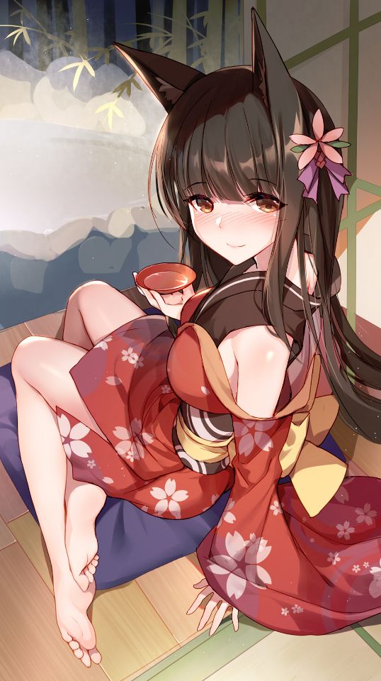 喝醉的赤城