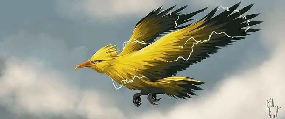 雷伊参考