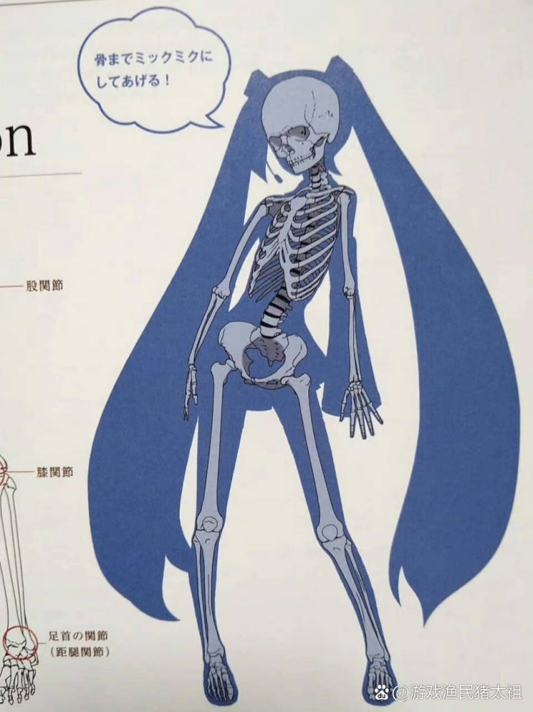 露骨