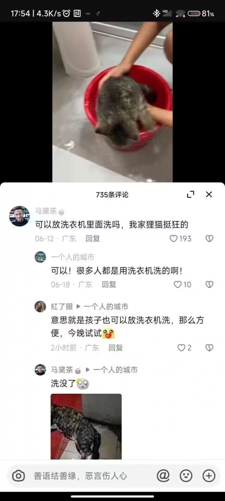 ...