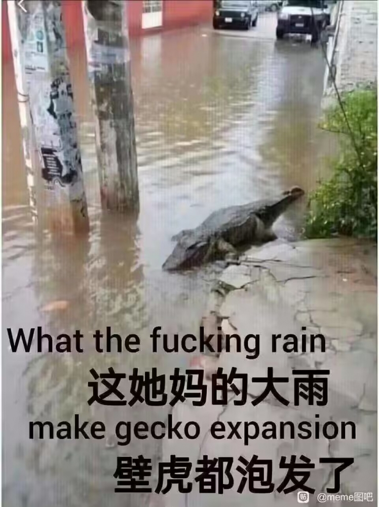 ...