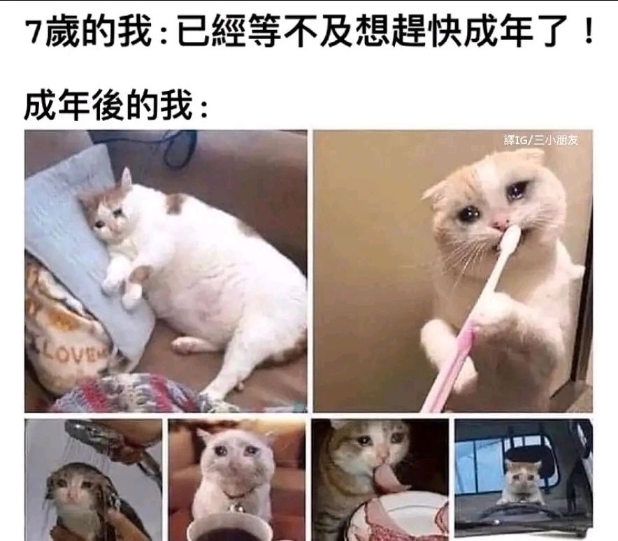 ...