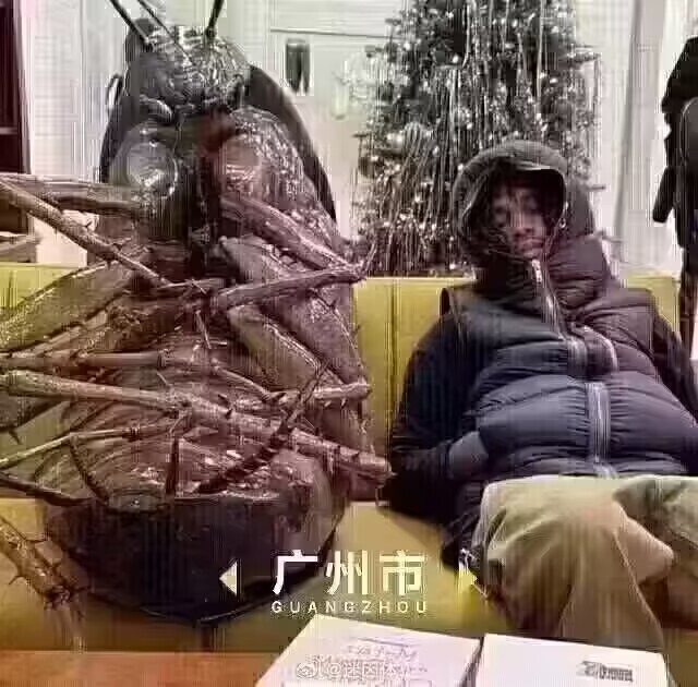 ...