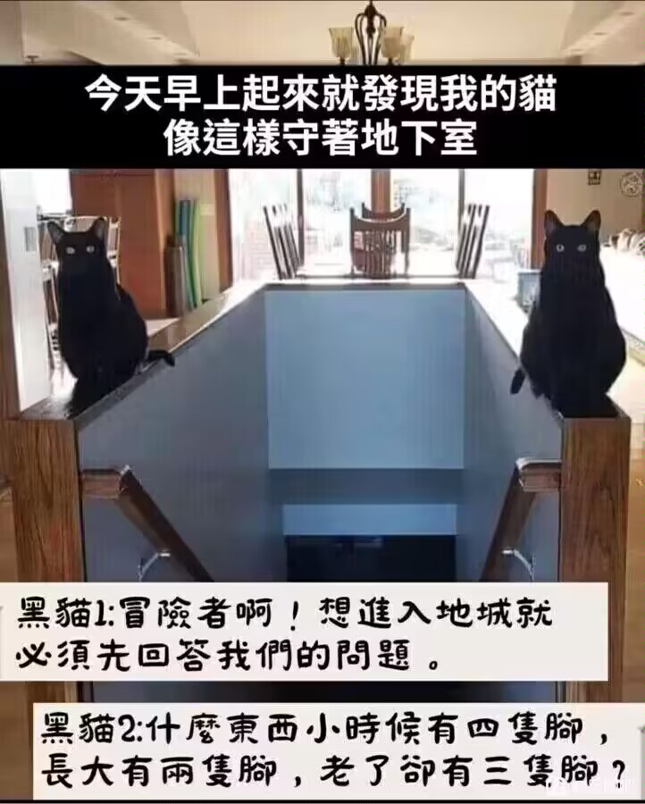 ...