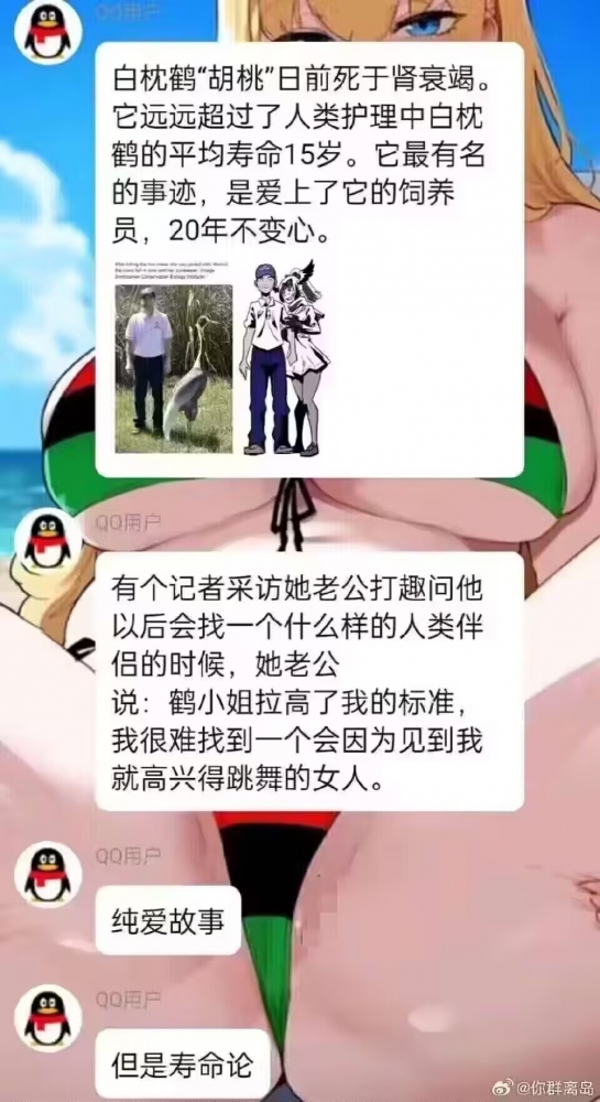 ……