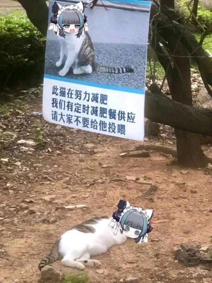 ………