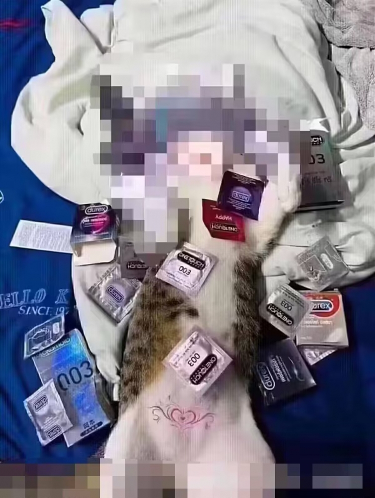 ...