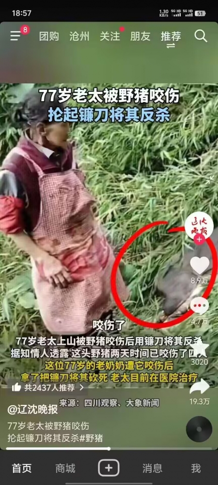 ...