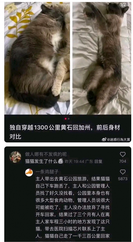 ...
