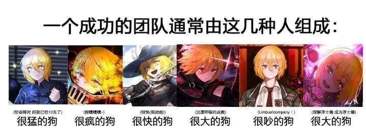 还有被卖掉的狗