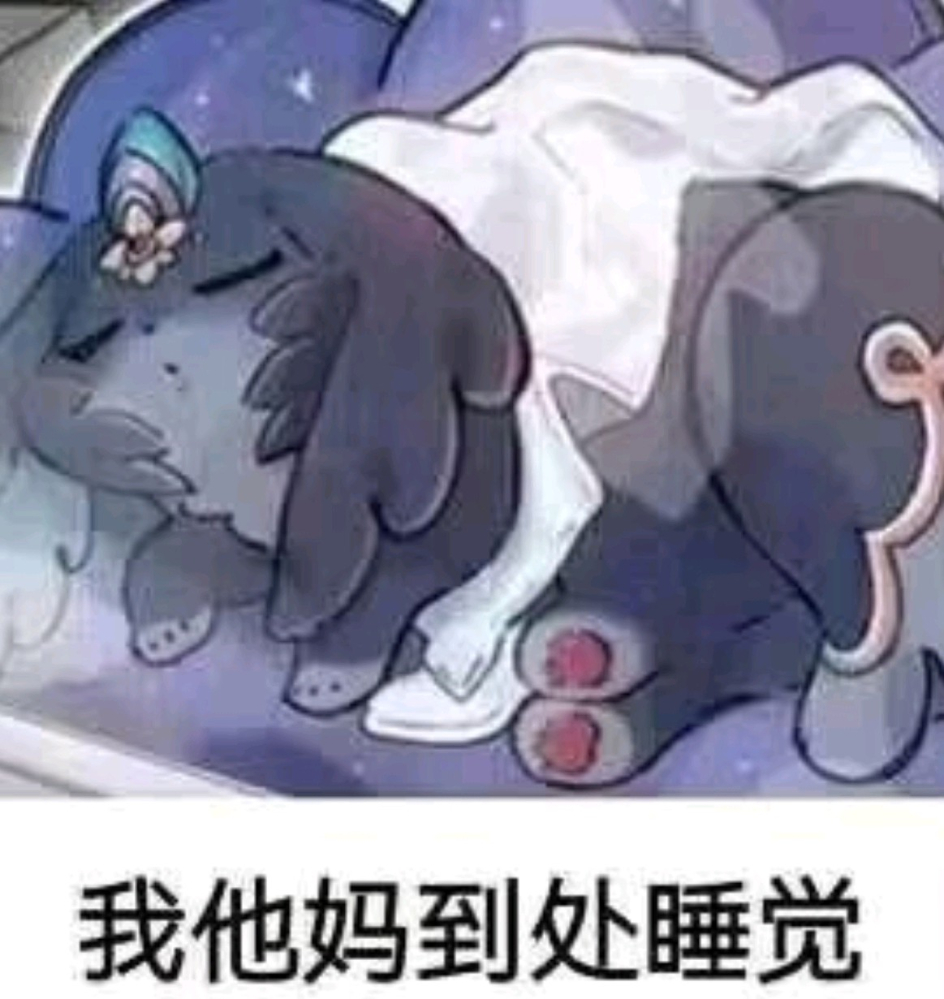 我踏马到处睡觉