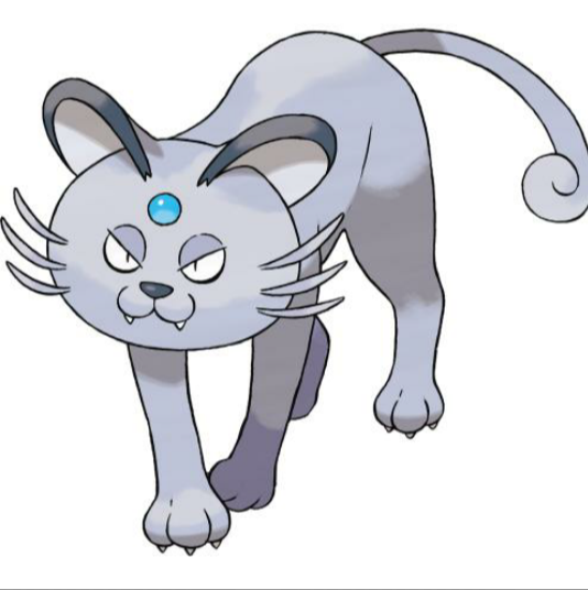 大脸猫