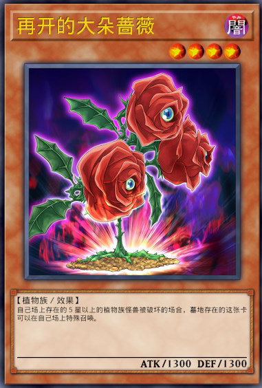 大朵蔷薇