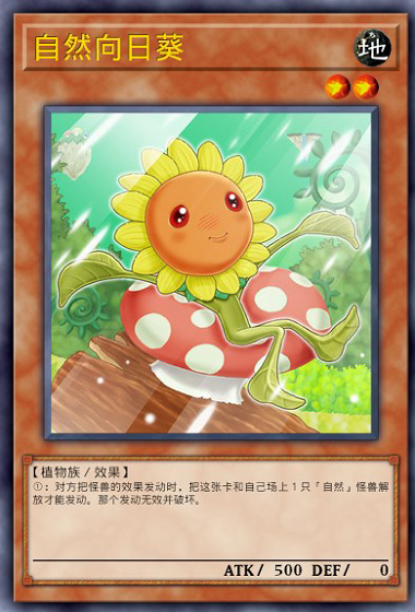 向日葵