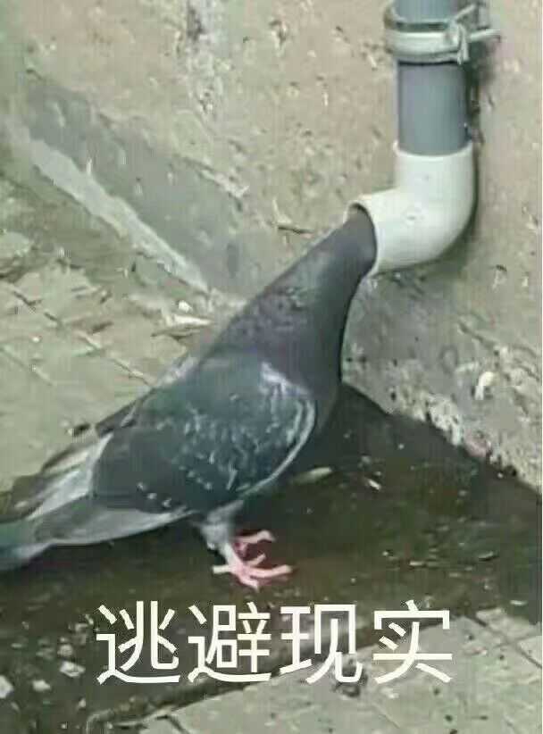 咕咕咕