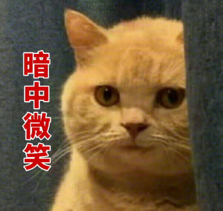 暗中观察