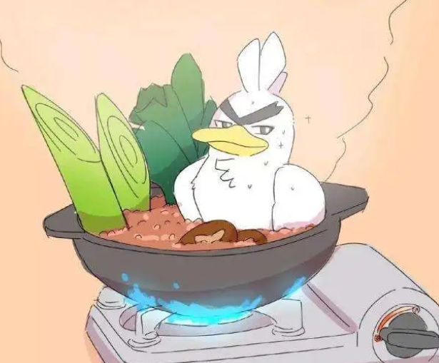 自带食材的大葱鸭