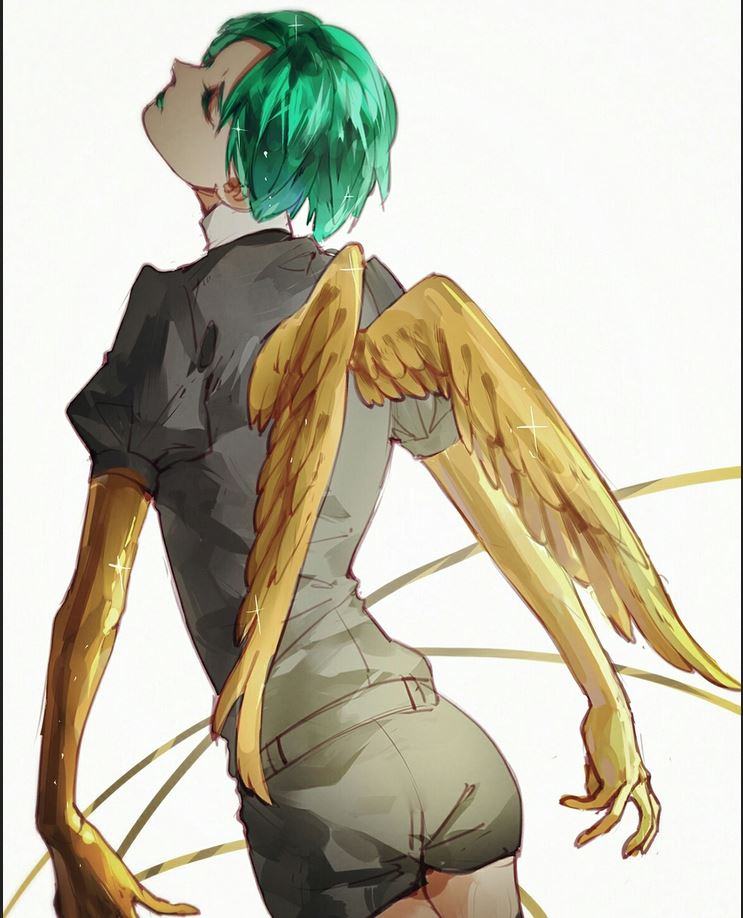 磷叶石展翅高飞吗