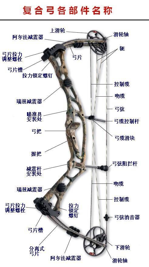 复合弓