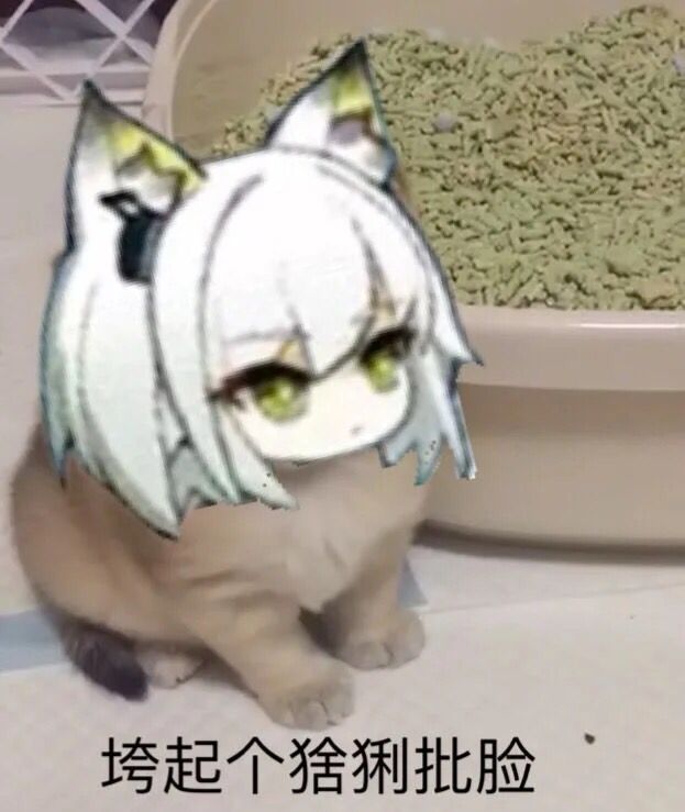 垮起个小猫批脸