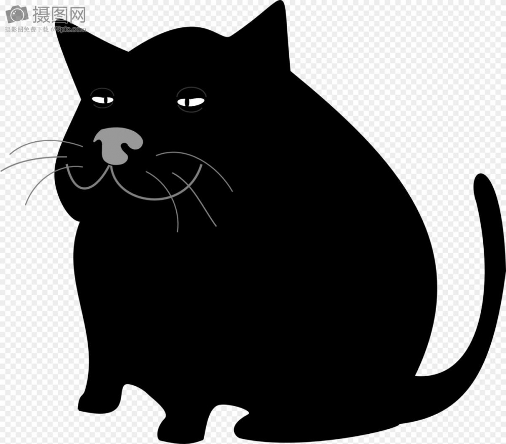 黑猫