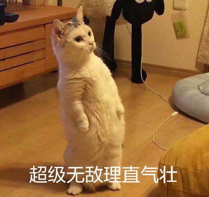 理直气壮