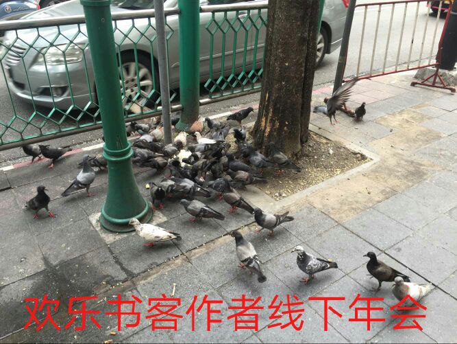 书客年会示意图