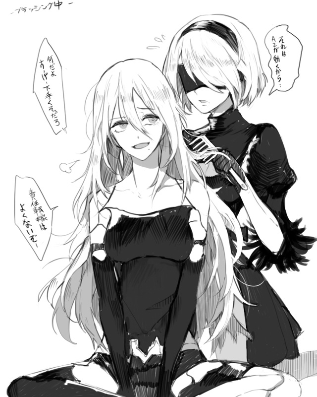 A2和2B