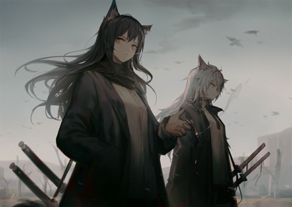 双狼
