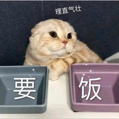 求票票~