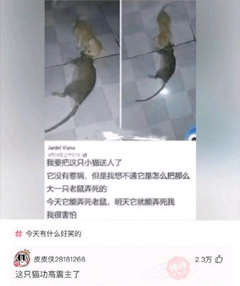 功 高 盖 主