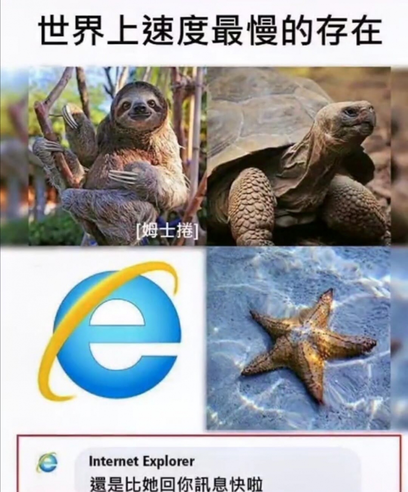 人间真实2