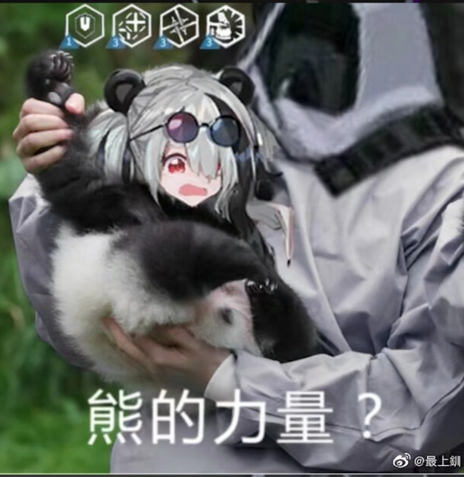 熊的力量?