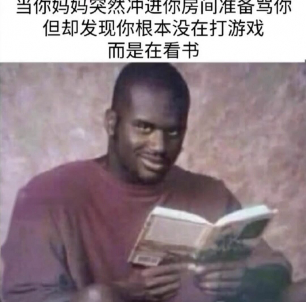 奈斯