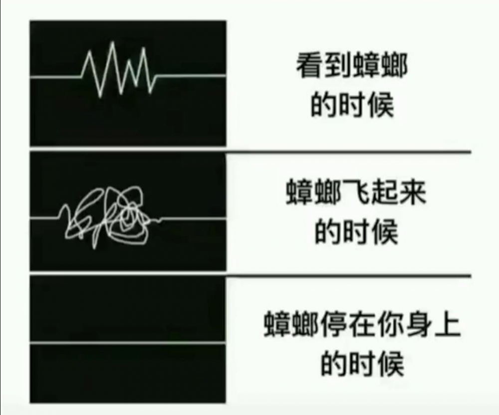 真实